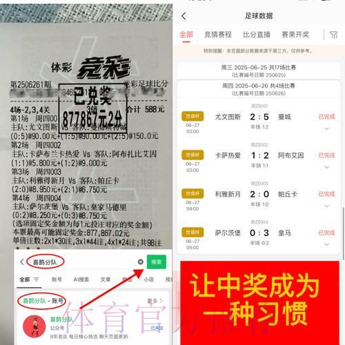 全面解析世界杯竞猜平台：深度体验与权威评测