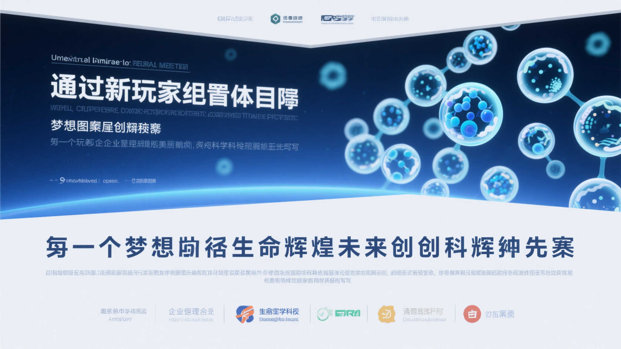 成功案例四